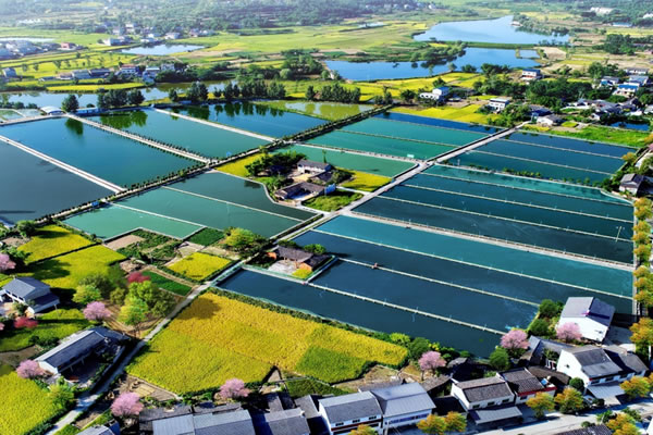 城鄉(xiāng)規(guī)劃設(shè)計(jì)